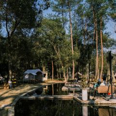 深林之梦·咖啡 User Photo