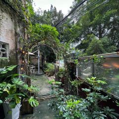 樹Cafe張用戶圖片