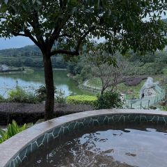 石兴农家菜馆 User Photo