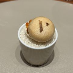 SUGALABO V 여행 사진