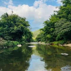 泉記燒鵝張用戶圖片