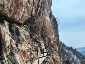 Longmen Cave Forest Park