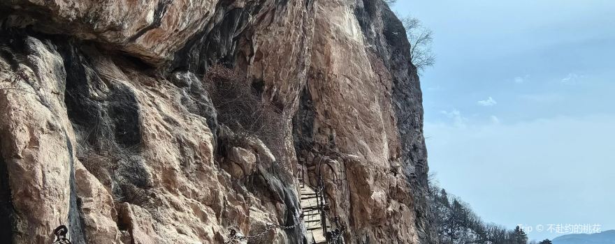Longmen Cave Forest Park