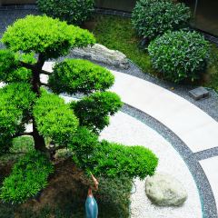 南宁鑫伟万豪酒店·中餐厅 User Photo