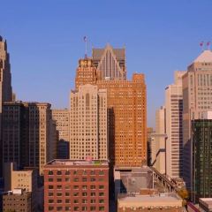 Selden Standard User Photo