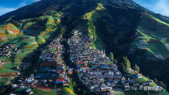 Nepal Van Java