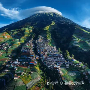 Nepal Van Java