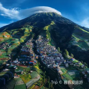 Nepal Van Java