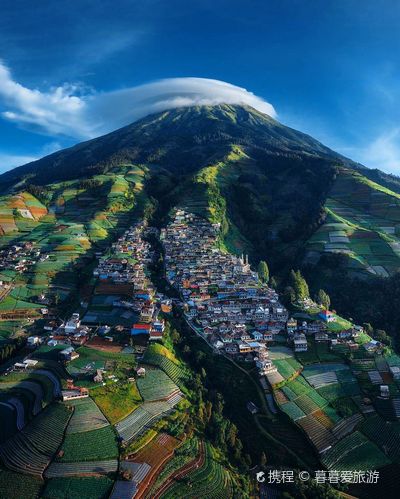 Nepal Van Java