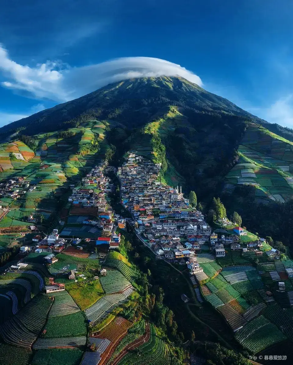 Nepal Van Java