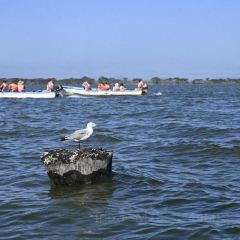 레이크 나이바샤 컨트리 클럽 여행 사진