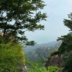宫家庄农贸市场 User Photo