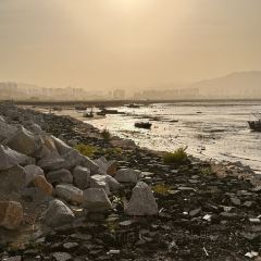 XIN JIN CHENG User Photo