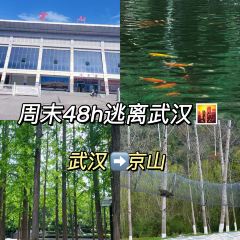 让鸭脑壳飞(京山店) User Photo