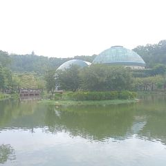 小隱圍屋張用戶圖片