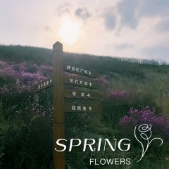 六国饭店 User Photo