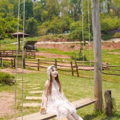 Elefin Farm & Cafe เอเลฟิน ฟาร์ม แอนด์ คาเฟ่ User Photo
