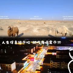 中卫百顺王精品民宿·农家餐厅 User Photo