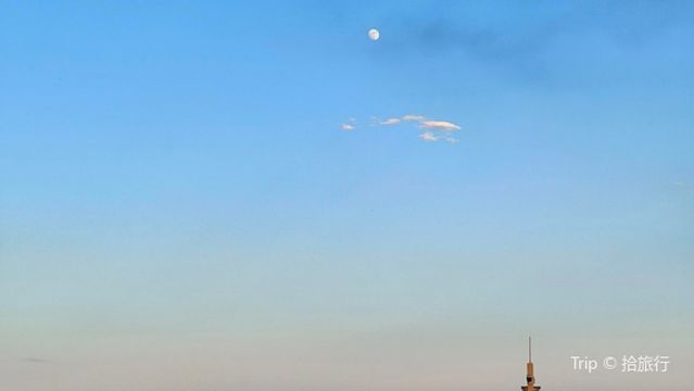 lang wo shan mu zhan dao