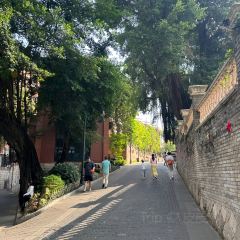 A MI DA PAI DANG User Photo