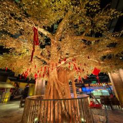 3Q台灣美食張用戶圖片