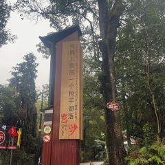 文和友 User Photo