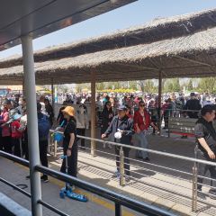 沙湖不夜城 User Photo