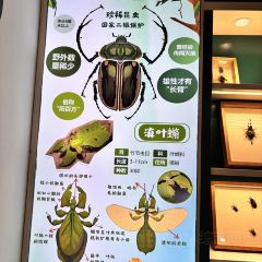 普洱小熊猫庄园·天碧餐厅 User Photo