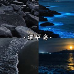 韩氏煎包店 User Photo