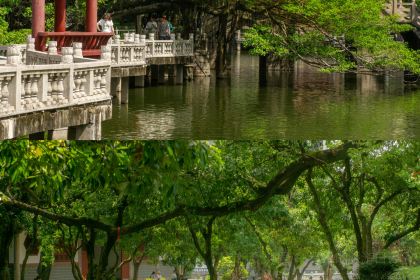 西禅寺荔香楼素菜馆(工业路店)