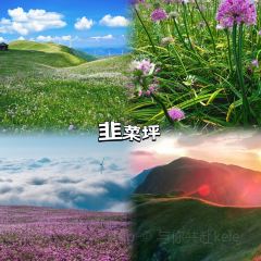 醉牛烤肉張用戶圖片