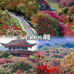 醉牛烤肉張用戶圖片