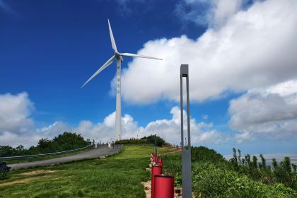 涼峙小酒館·日咖夜酒
