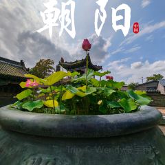 浴柳排骨蒸饺(五一街店) User Photo