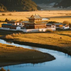 老字号特色火锅店 User Photo