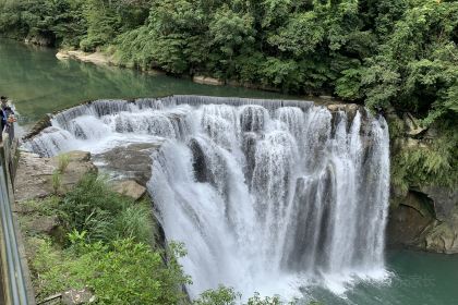 Jin Feng Braised Pork Rice