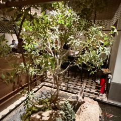 ZAYTON COURTYARD User Photo