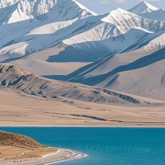 黃金樽美食張用戶圖片