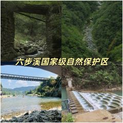 SHANGXILEICHA User Photo