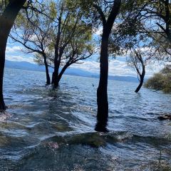 September DaLi User Photo