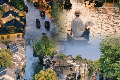 Zhenzhenlaolaozongzi (yuehe)