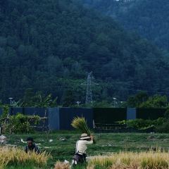 椿野咖啡館（和順店）張用戶圖片