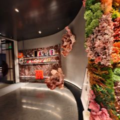 黛外滩(外滩店) User Photo