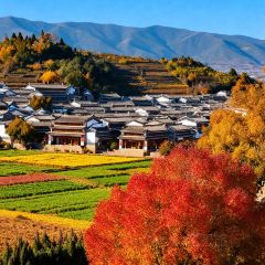 一品凉饭庄·建水人家分店 User Photo