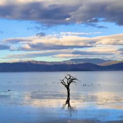 IN MY HEART User Photo