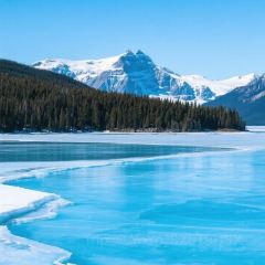 古兰丹姆冰激凌店 User Photo