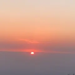 偏愛炒雞店(淘你歡店)張用戶圖片