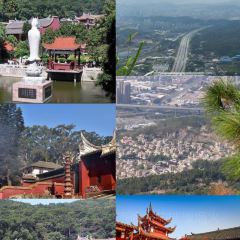 聚春園(南后街店)張用戶圖片