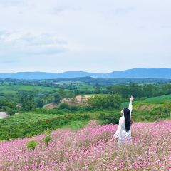 Donghouse khaoyai User Photo