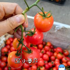 城北综合农贸市场 User Photo